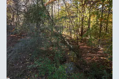 01 Blair Road, Laurens, SC 29630 - Photo 15