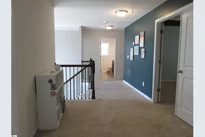 909 Deephallow Place, Greer, SC 29651 - Photo 17