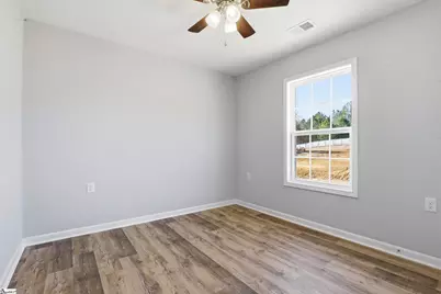 126 Laura Jane Lane, Gray Court, SC 29645 - Photo 17