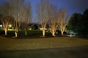 105 Wren Crossing Ct, Easley, SC 29642 - Photo 37