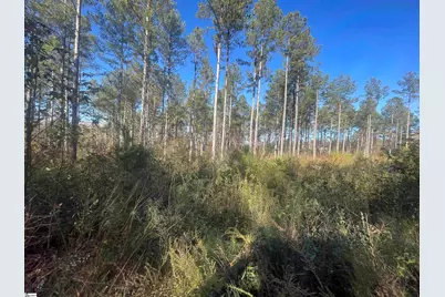 120 Lonesome Valley Road, Westminster, SC 29693 - Photo 41