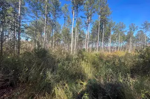 120 Lonesome Valley Rd, Westminster, SC 29693 - Photo 41