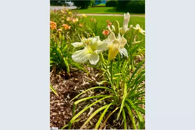 33 Tilbury Way, Greenville, SC 29609 - Photo 23