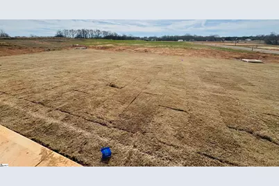 102 Birch Horizon Avenue, Simpsonville, SC 29681 - Photo 3