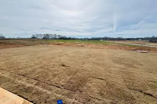 102 Birch Horizon Ave, Simpsonville, SC 29681 - Photo 3