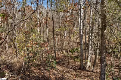 201 Katrina Court, Gantt, SC 29673 - Photo 35