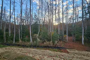 228 Jacqueline Rd, Piedmont, SC 29673 - Photo 27