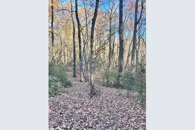 00 Sc-11 Highway, Travelers Rest, SC 29690 - Photo 15