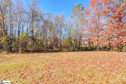 214 Mason Drive, Inman, SC 29349 - Photo 43