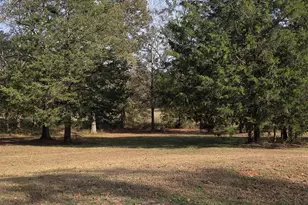 1123 Renno Rd, Clinton, SC 29325 - Photo 21