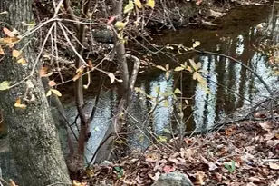 353 Marble Ln, Boiling Springs, SC 29316 - Photo 29