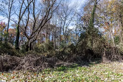 00 Elizabeth Street, Clinton, SC 29325 - Photo 5