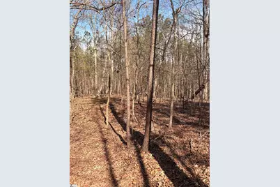 00 Elizabeth Street, Clinton, SC 29325 - Photo 5