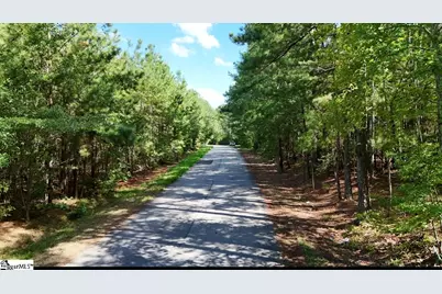 0 Neighbors Road, Clinton, SC 29325 - Photo 3