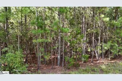 0 Neighbors Road, Clinton, SC 29325 - Photo 5