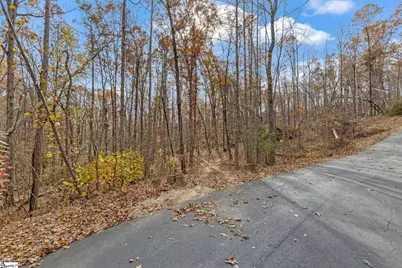 45 Danna View Court, Marietta, SC 29661 - Photo 17