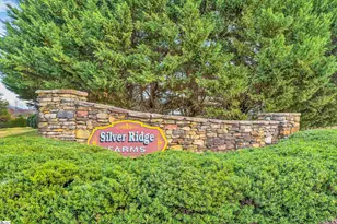 718 Dills Farm Way, Greer, SC 29651 - Photo 39