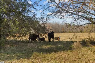 186 Woodville Rd, Pelzer, SC 29669 - Photo 49