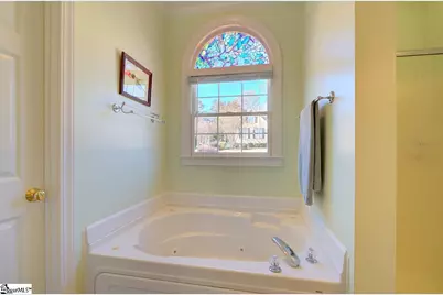 228 Goldenstar Lane, Greer, SC 29651 - Photo 13