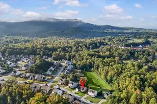 9 Wild Fern Ct, Travelers Rest, SC 29690 - Photo 33