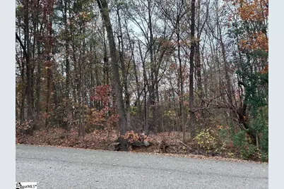 11 Pleasant Grove Drive, Greenville, SC 29611 - Photo 7