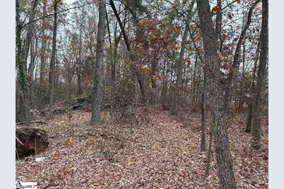 11 Pleasant Grove Drive, Greenville, SC 29611 - Photo 3