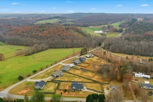 3542 Hwy 414, Landrum, SC 29356 - Photo 29