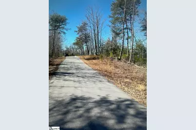 1130 Packs Mountain Ridge Road, Taylors, SC 29687 - Photo 7