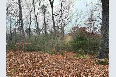 1130 Packs Mountain Ridge Road, Taylors, SC 29687 - Photo 3