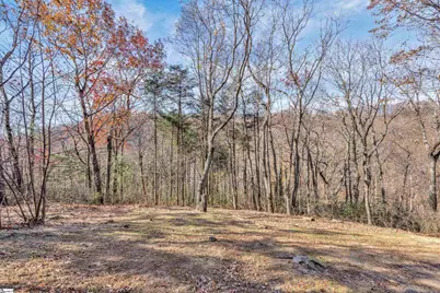 20 Moccasin Flower Trail, Landrum, SC 29356 - Photo 43