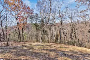 20 Moccasin-Flower Trail, Landrum, SC 29356 - Photo 43