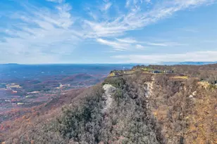 20 Moccasin-Flower Trail, Landrum, SC 29356 - Photo 3