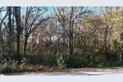 000 Betsy Drive #Lot 1, Woodruff, SC 29388 - Photo 3