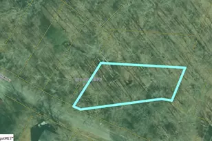 0 Poplar St, Woodruff, SC 29388 - Photo 1