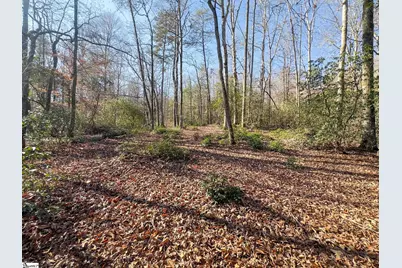 912 Hidden Hollow Trail, Travelers Rest, SC 29690 - Photo 7