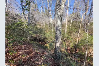 912 Hidden Hollow Trail, Travelers Rest, SC 29690 - Photo 5
