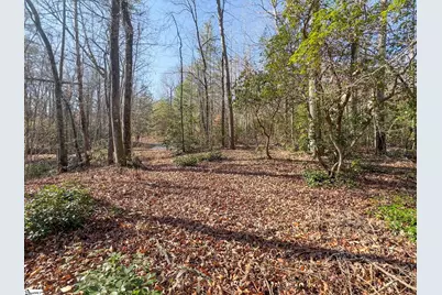 912 Hidden Hollow Trail, Travelers Rest, SC 29690 - Photo 3
