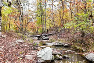 0 Sulpher Spgs Rd, Waterloo, SC 29384 - Photo 1