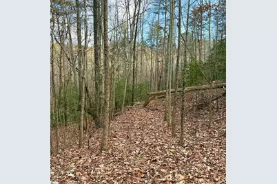 91 Roco Trail, Travelers Rest, SC 29690 - Photo 5