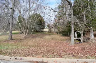 381 Royal Burgess Dr, Campobello, SC 29322 - Photo 37