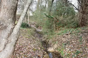 381 Royal Burgess Dr, Campobello, SC 29322 - Photo 39