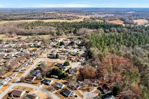 206 Dexter Bend Ct, Fountain Inn, SC 29644 - Photo 41