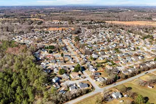 206 Dexter Bend Ct, Fountain Inn, SC 29644 - Photo 43