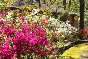 132 Rosecrest Rd, Spartanburg, SC 29303 - Photo 47