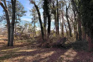 526 E Greer St, Honea Path, SC 29654 - Photo 35