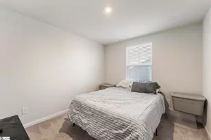 223 Lily Park Way, Easley, SC 29642 - Photo 23