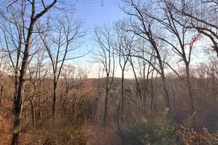 152 Glassy Falls Trail, Travelers Rest, SC 29690 - Photo 43