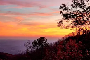 14 Woodbine Dr, Cleveland, SC 29635 - Photo 13