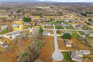 6 Peach Wood Trail, Greer, SC 29651 - Photo 45