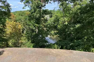 118 Orr St, Piedmont, SC 29673 - Photo 13